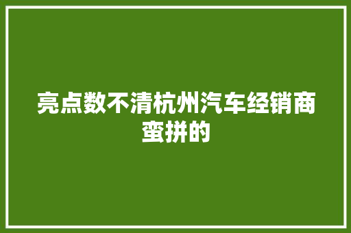 亮点数不清杭州汽车经销商蛮拼的