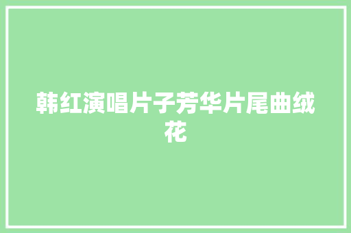 韩红演唱片子芳华片尾曲绒花