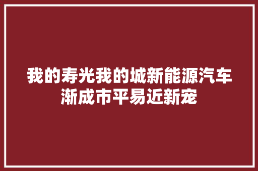 我的寿光我的城新能源汽车渐成市平易近新宠
