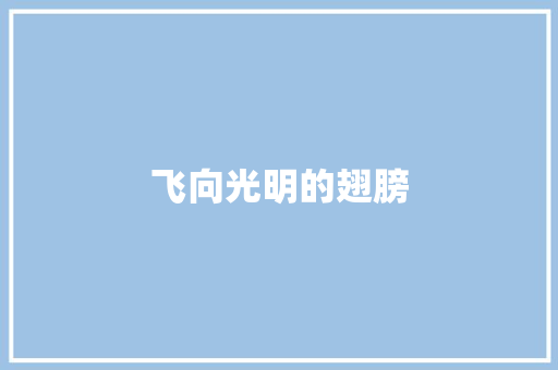 飞向光明的翅膀