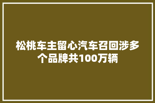 松桃车主留心汽车召回涉多个品牌共100万辆