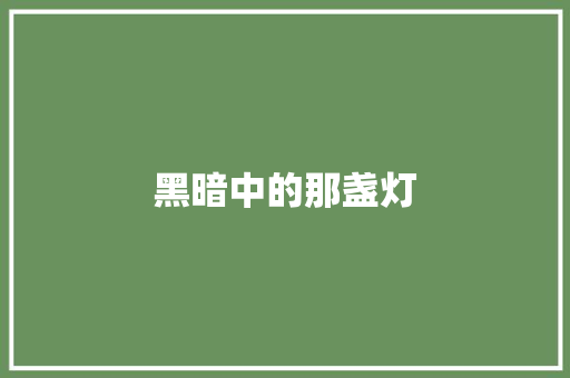 黑暗中的那盏灯