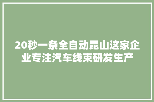 20秒一条全自动昆山这家企业专注汽车线束研发生产