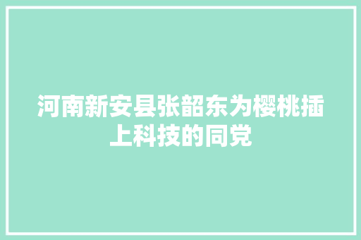 河南新安县张韶东为樱桃插上科技的同党