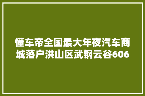 懂车帝全国最大年夜汽车商城落户洪山区武钢云谷606