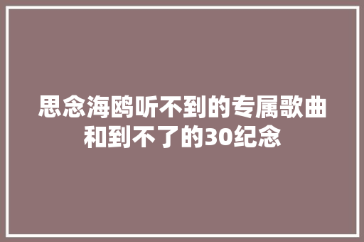 思念海鸥听不到的专属歌曲和到不了的30纪念