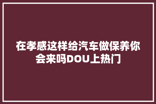 在孝感这样给汽车做保养你会来吗DOU上热门