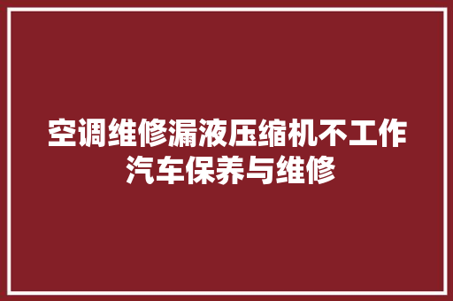 空调维修漏液压缩机不工作 汽车保养与维修