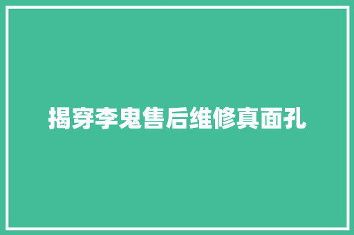 揭穿李鬼售后维修真面孔