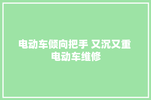 电动车倾向把手 又沉又重 电动车维修