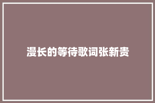 漫长的等待歌词张新贵