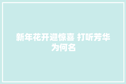 新年花开迎惊喜 打听芳华为何名