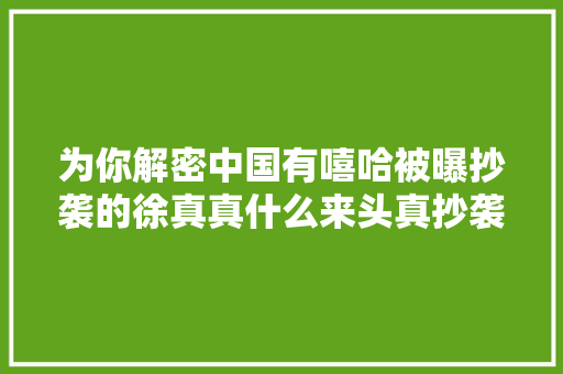为你解密中国有嘻哈被曝抄袭的徐真真什么来头真抄袭吗