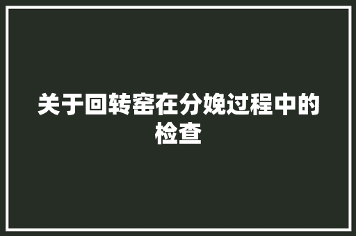 关于回转窑在分娩过程中的检查