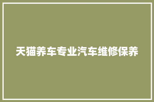 天猫养车专业汽车维修保养