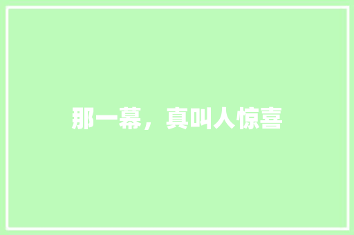 那一幕，真叫人惊喜