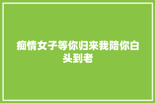 痴情女子等你归来我陪你白头到老