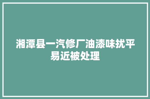 湘潭县一汽修厂油漆味扰平易近被处理