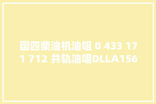 国四柴油机油咀 0 433 171 712 共轨油咀DLLA156P1107