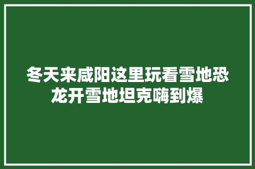 冬天来咸阳这里玩看雪地恐龙开雪地坦克嗨到爆 汽车知识