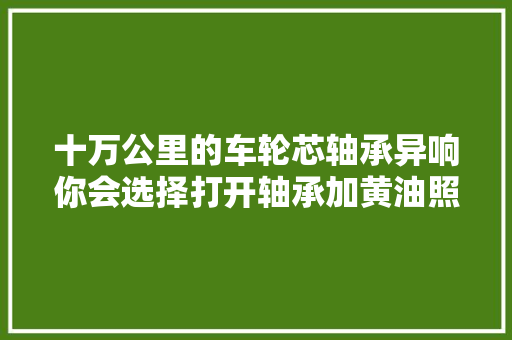 十万公里的车轮芯轴承异响你会选择打开轴承加黄油照样更换