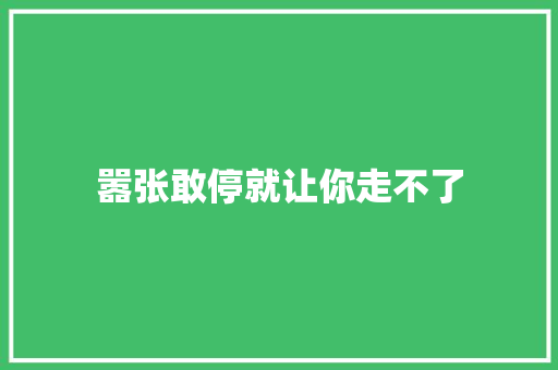 嚣张敢停就让你走不了