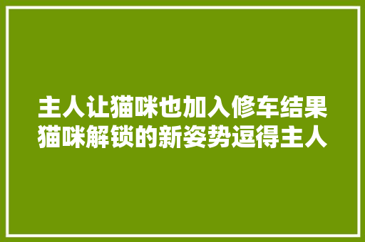 主人让猫咪也加入修车结果猫咪解锁的新姿势逗得主人笑喷