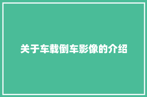 关于车载倒车影像的介绍