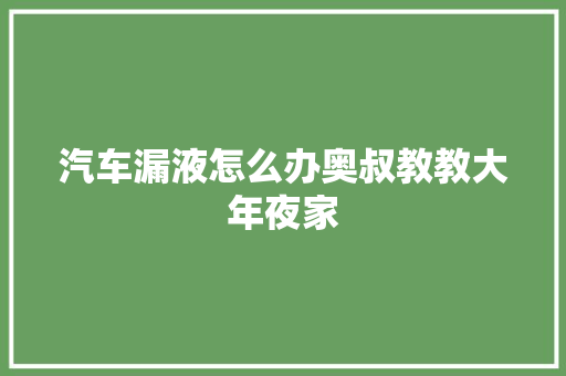 汽车漏液怎么办奥叔教教大年夜家