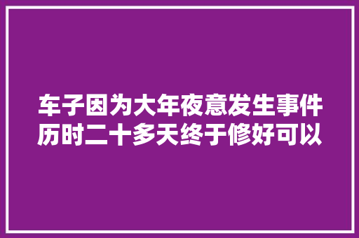 车子因为大年夜意发生事件历时二十多天终于修好可以开始旅