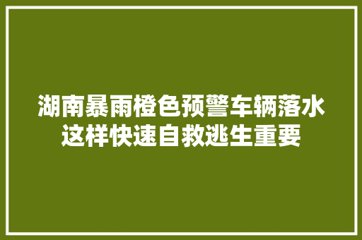 湖南暴雨橙色预警车辆落水这样快速自救逃生重要