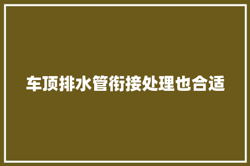 车顶排水管衔接处理也合适