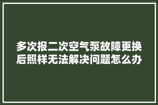 多次报二次空气泵故障更换后照样无法解决问题怎么办