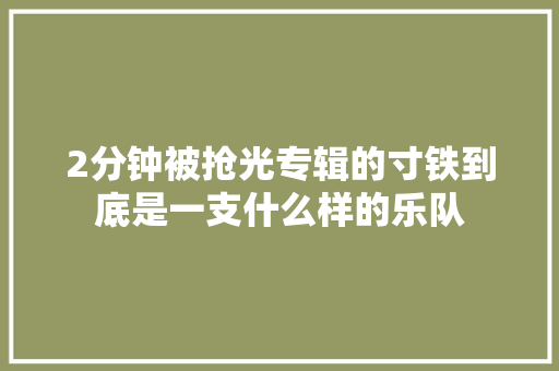 2分钟被抢光专辑的寸铁到底是一支什么样的乐队