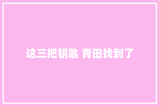 这三把钥匙 青田找到了