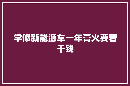 学修新能源车一年膏火要若干钱