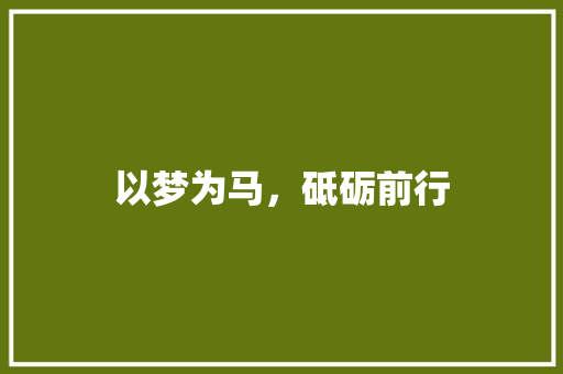 以梦为马，砥砺前行