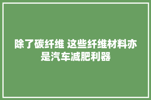 除了碳纤维 这些纤维材料亦是汽车减肥利器