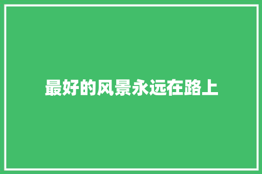 最好的风景永远在路上