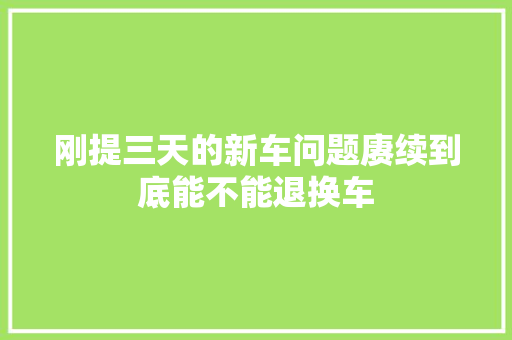 刚提三天的新车问题赓续到底能不能退换车