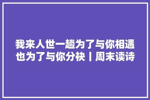我来人世一趟为了与你相遇也为了与你分袂丨周末读诗