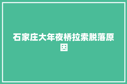 石家庄大年夜桥拉索脱落原因