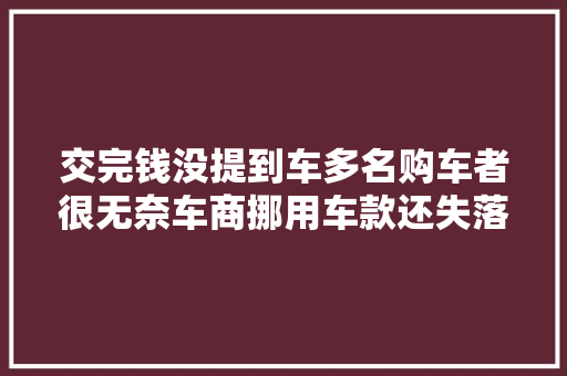 交完钱没提到车多名购车者很无奈车商挪用车款还失落联