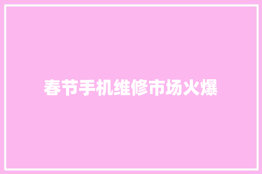春节手机维修市场火爆