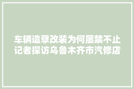 车辆造孽改装为何屡禁不止记者探访乌鲁木齐市汽修店和汽车装潢店车辆改装背后的原形