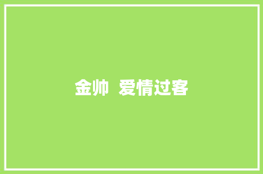 金帅  爱情过客