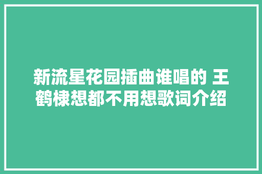 新流星花园插曲谁唱的 王鹤棣想都不用想歌词介绍