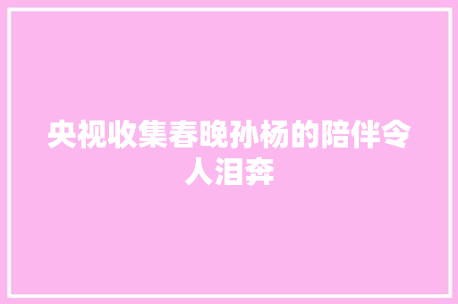 央视收集春晚孙杨的陪伴令人泪奔