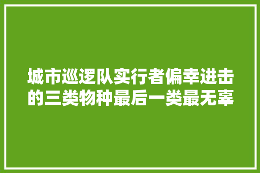 城市巡逻队实行者偏幸进击的三类物种最后一类最无辜