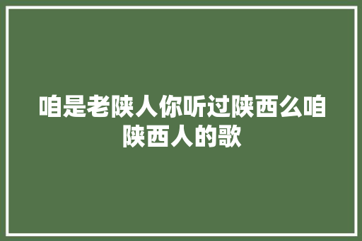 咱是老陕人你听过陕西么咱陕西人的歌